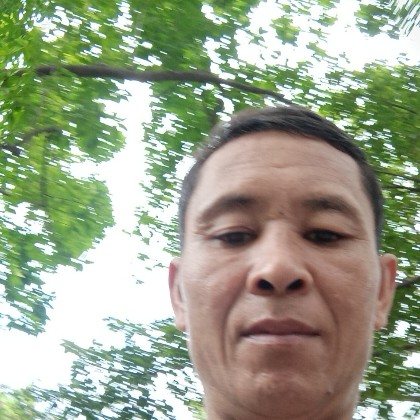 狗邂逅端庄的照片