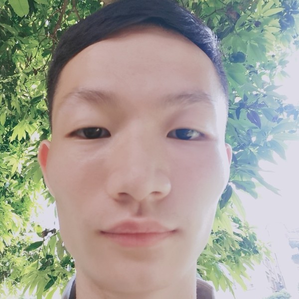 站内的照片