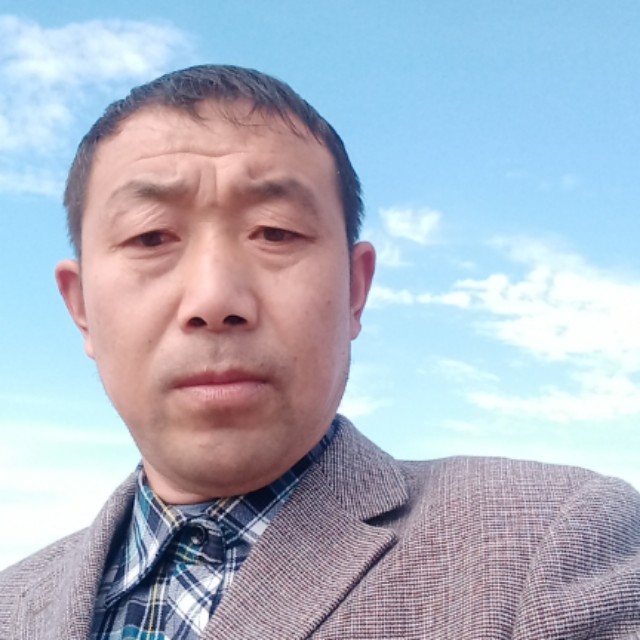 玩命改变狗的照片