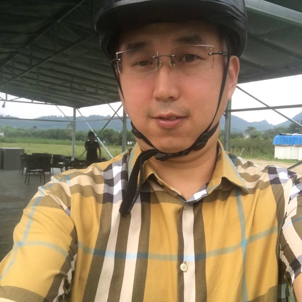 江湖鸟的照片