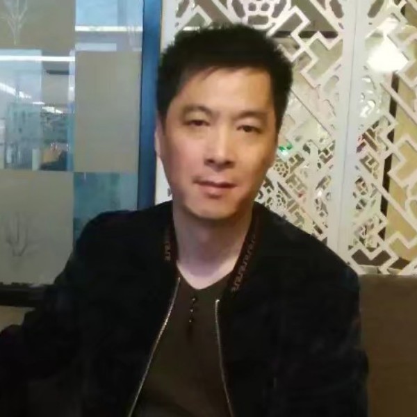 干净的树叶的照片