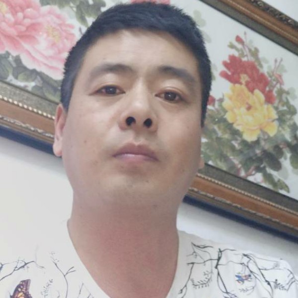 橘子甜甜的照片