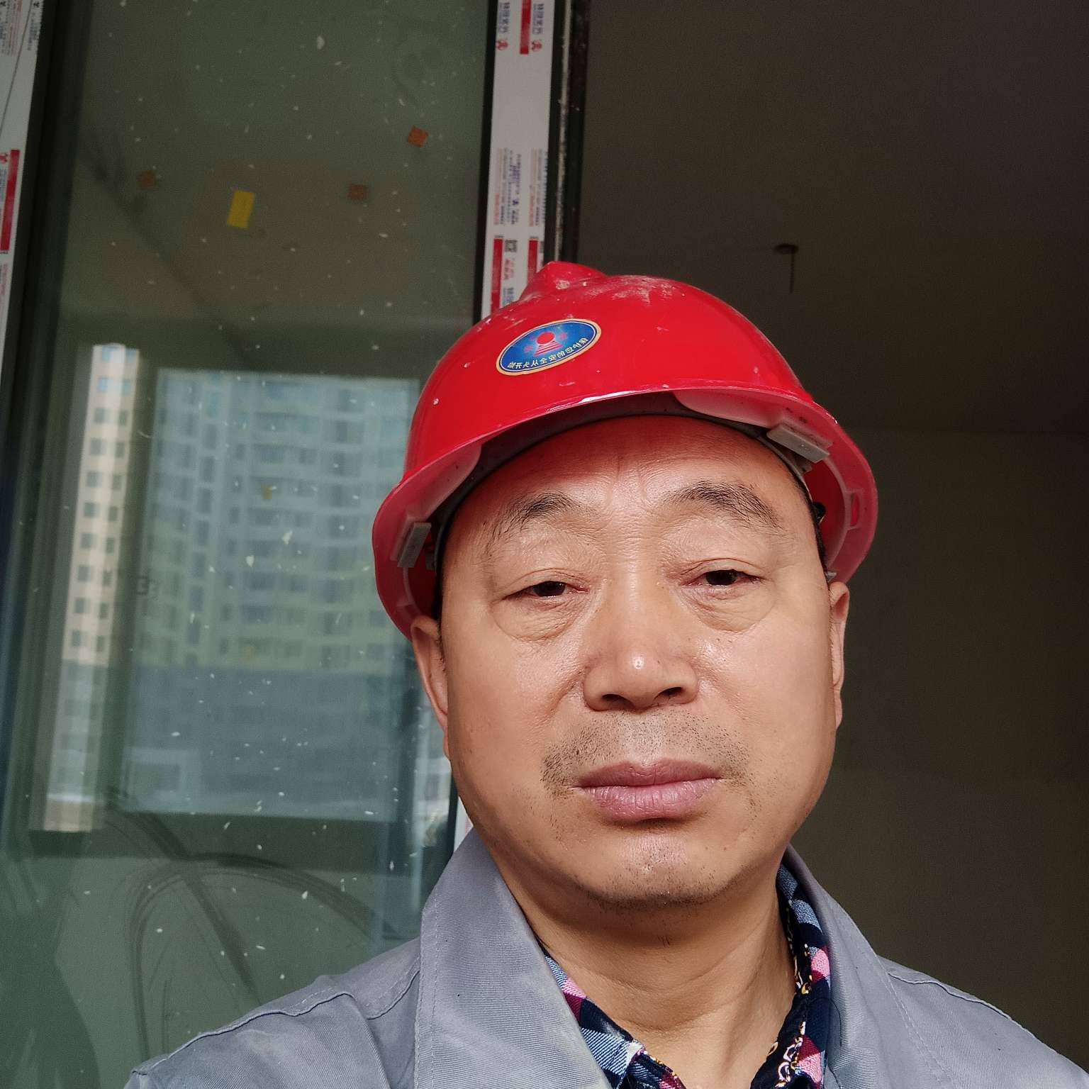 机器猫演变洁净的照片