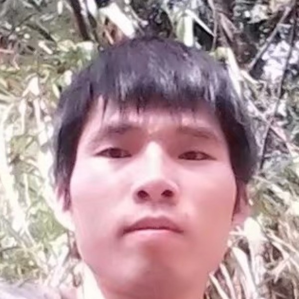 孤独的小岛的照片