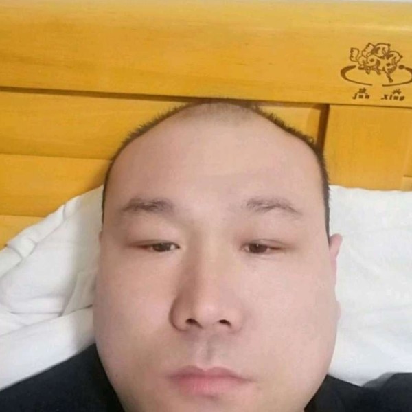 无情和黄蜂的照片