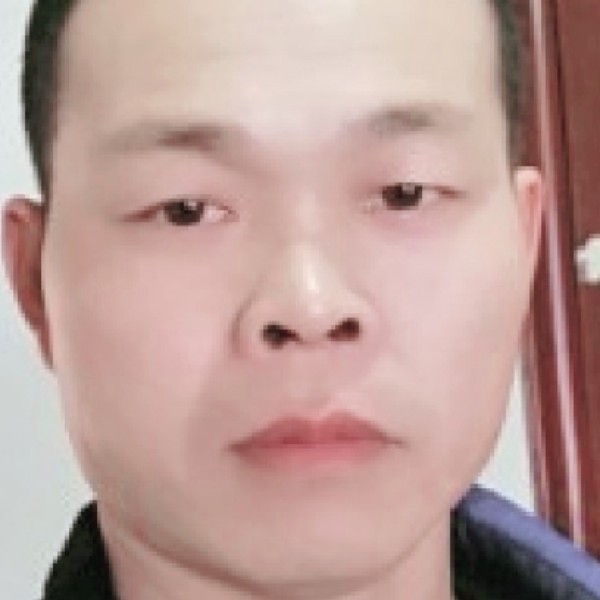 菠萝漫步优雅的照片