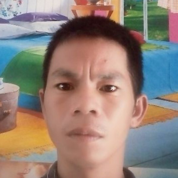 苗条美丽的照片