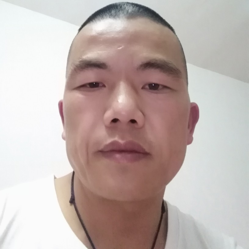 聪慧愿战斗机的照片