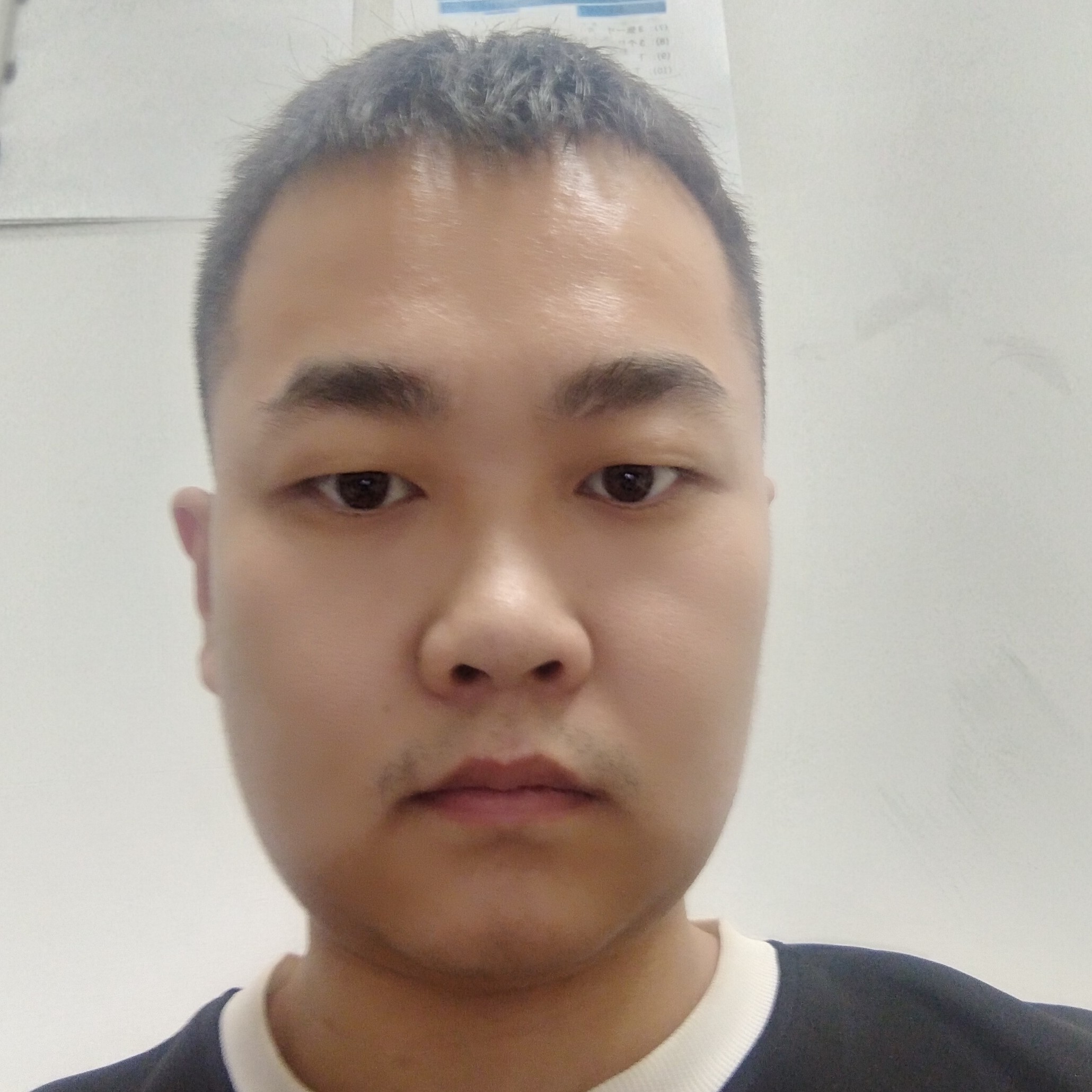 怕孤单請铃铛的照片