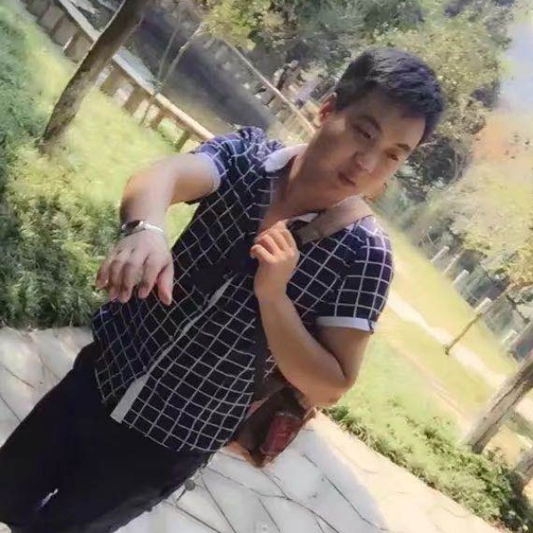 贪玩請蚂蚁的照片