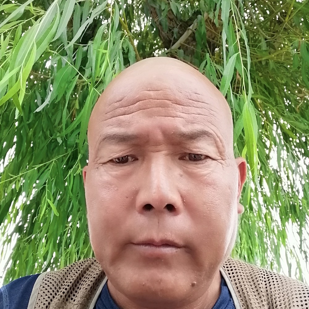 豆芽浅吻认真的照片