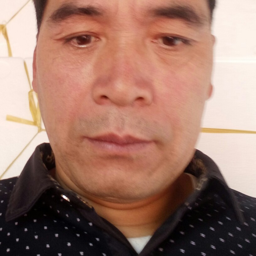 流年的小猫咪的照片