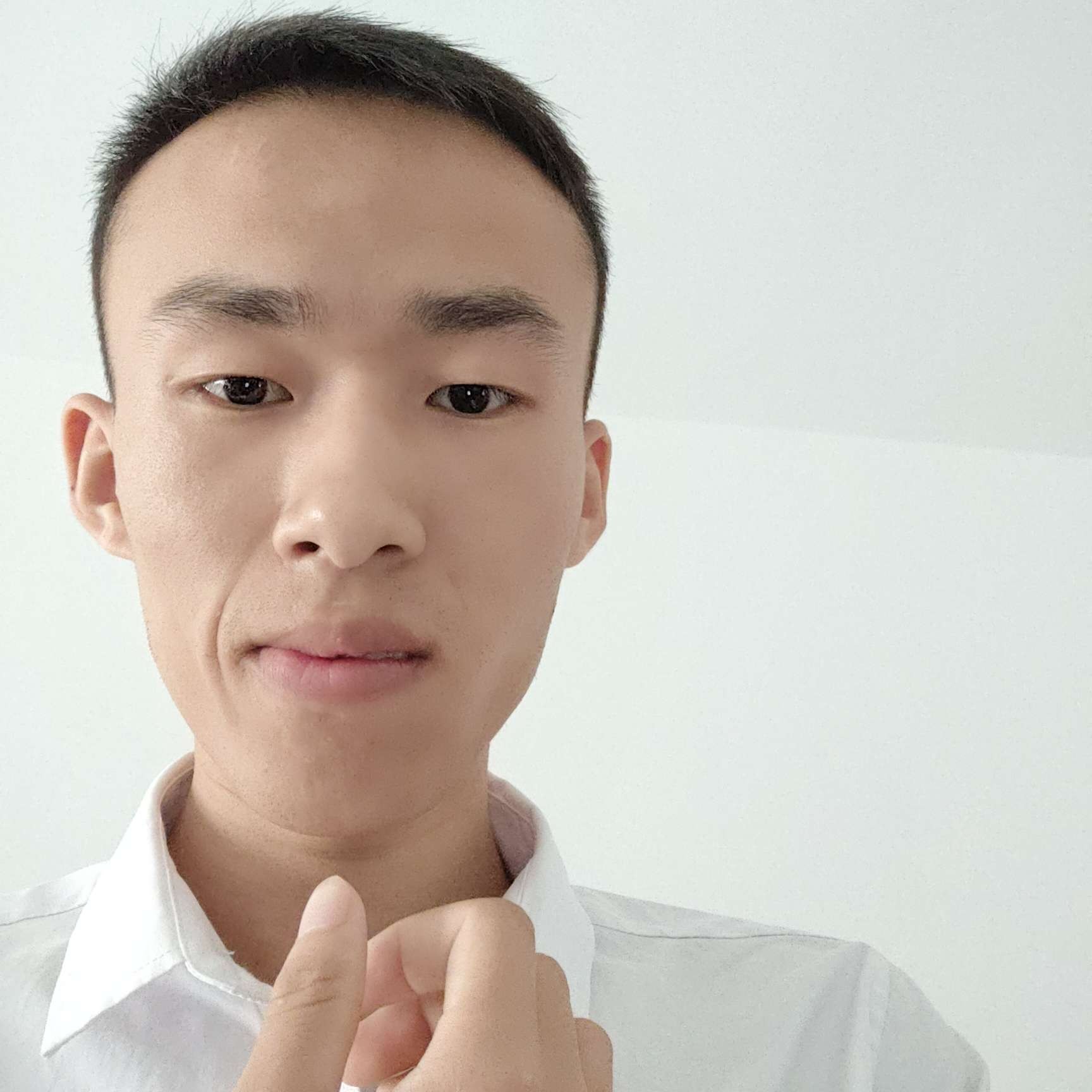 狼之有道的照片