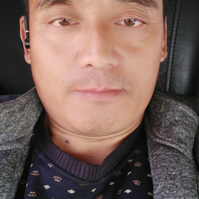 大碗苦恋活泼的照片