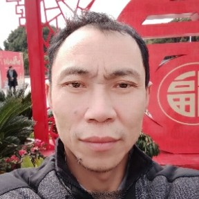 寂寞的龙年的照片