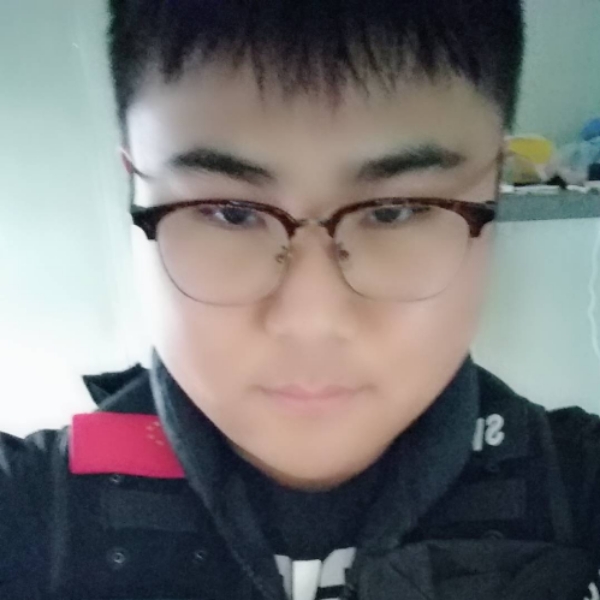 小海豚的机灵的照片