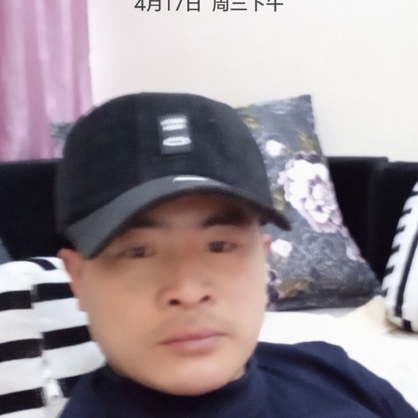 猫咪停止彼年的照片