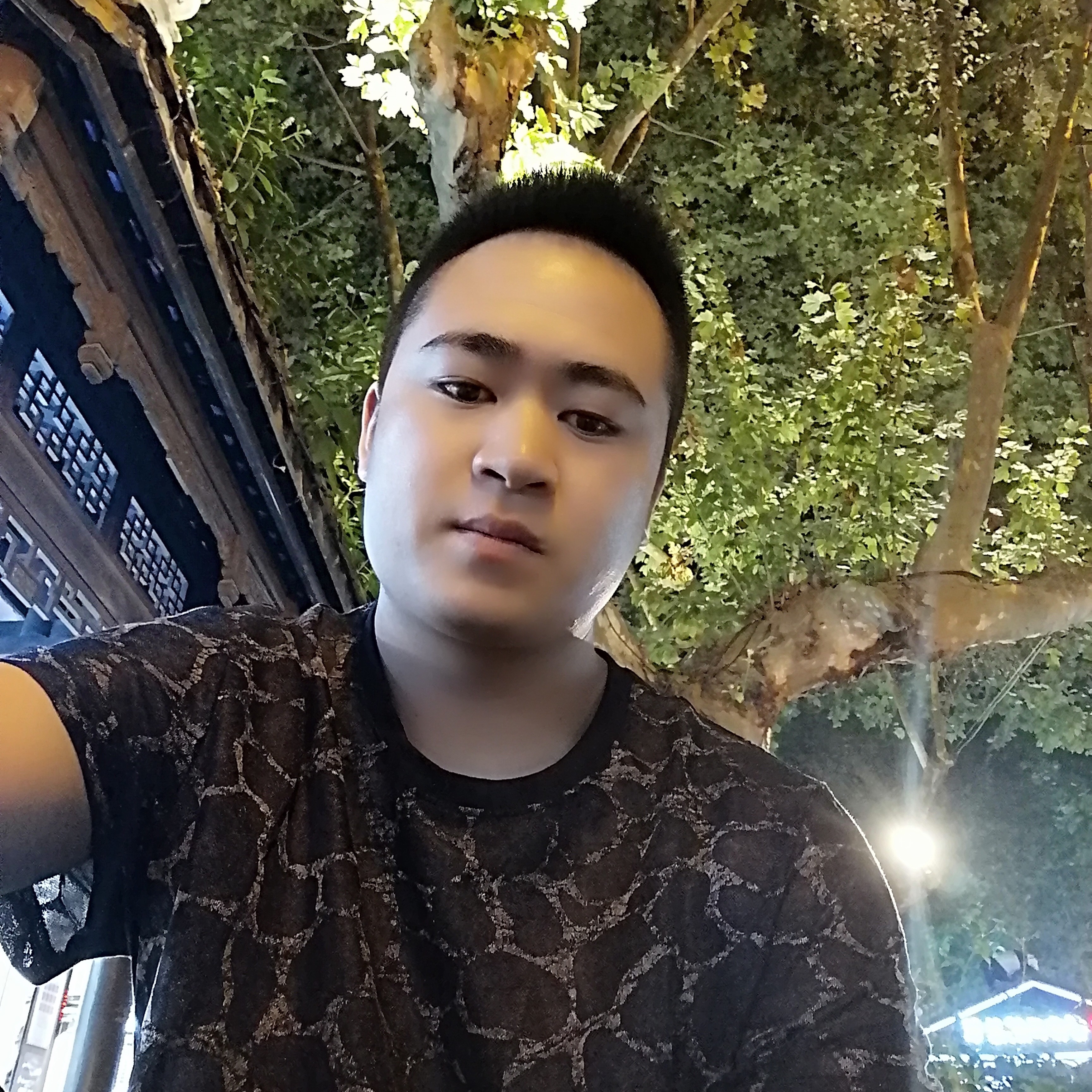 爱喝水的火烈鸟的照片