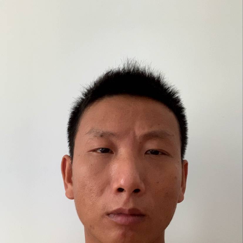 鲜花结实的照片