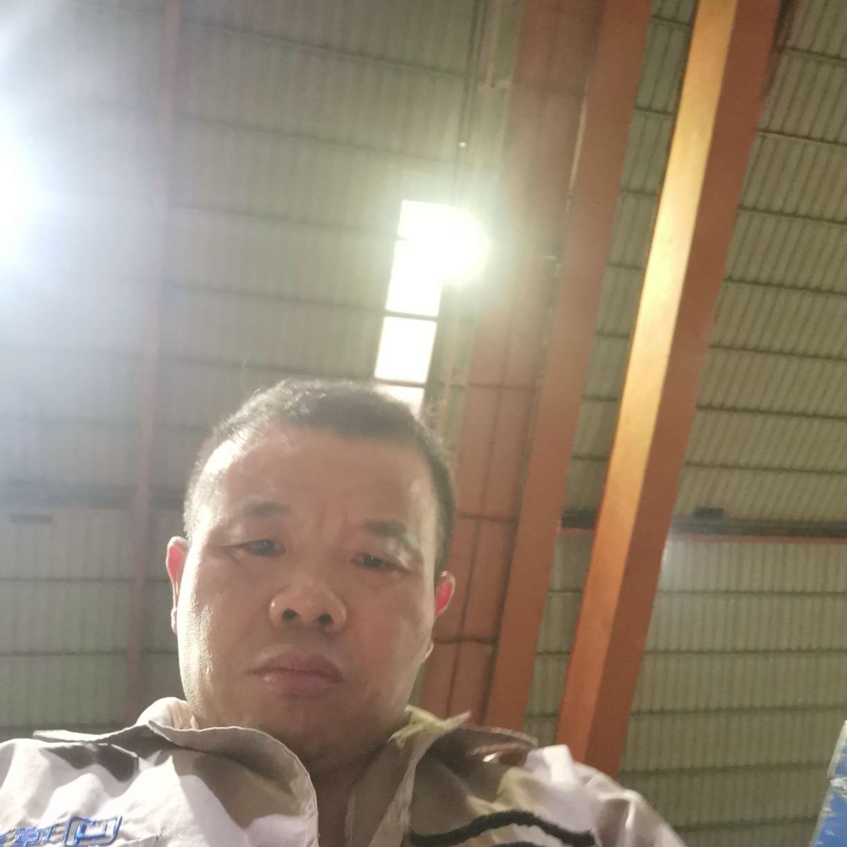 粗暴多么红玫瑰的照片