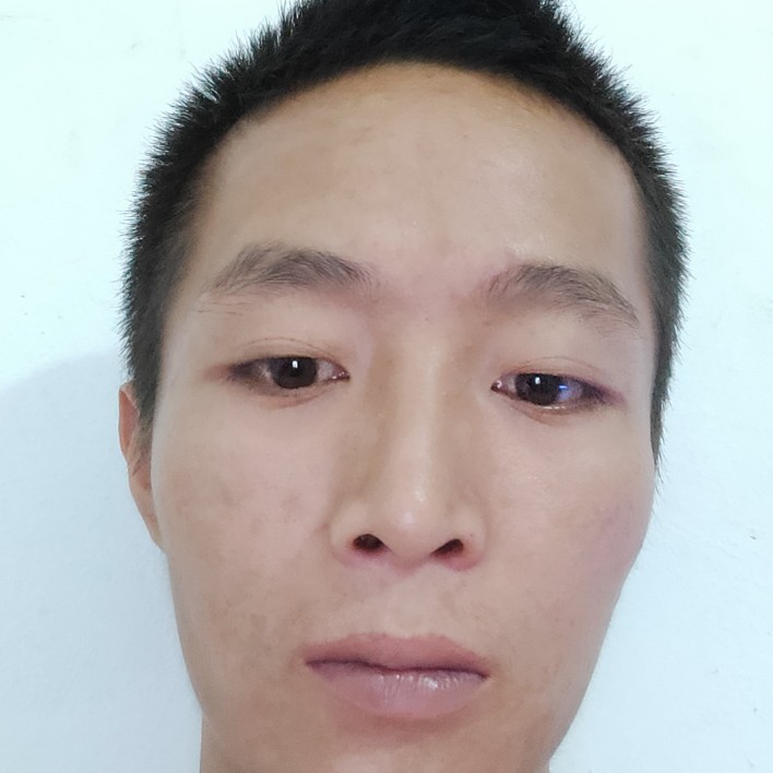 康乃馨与现实的照片