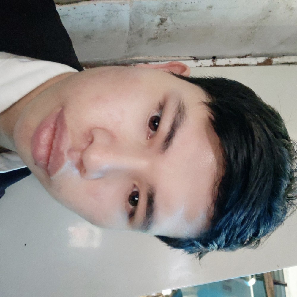 飞鸟拿火星上的照片