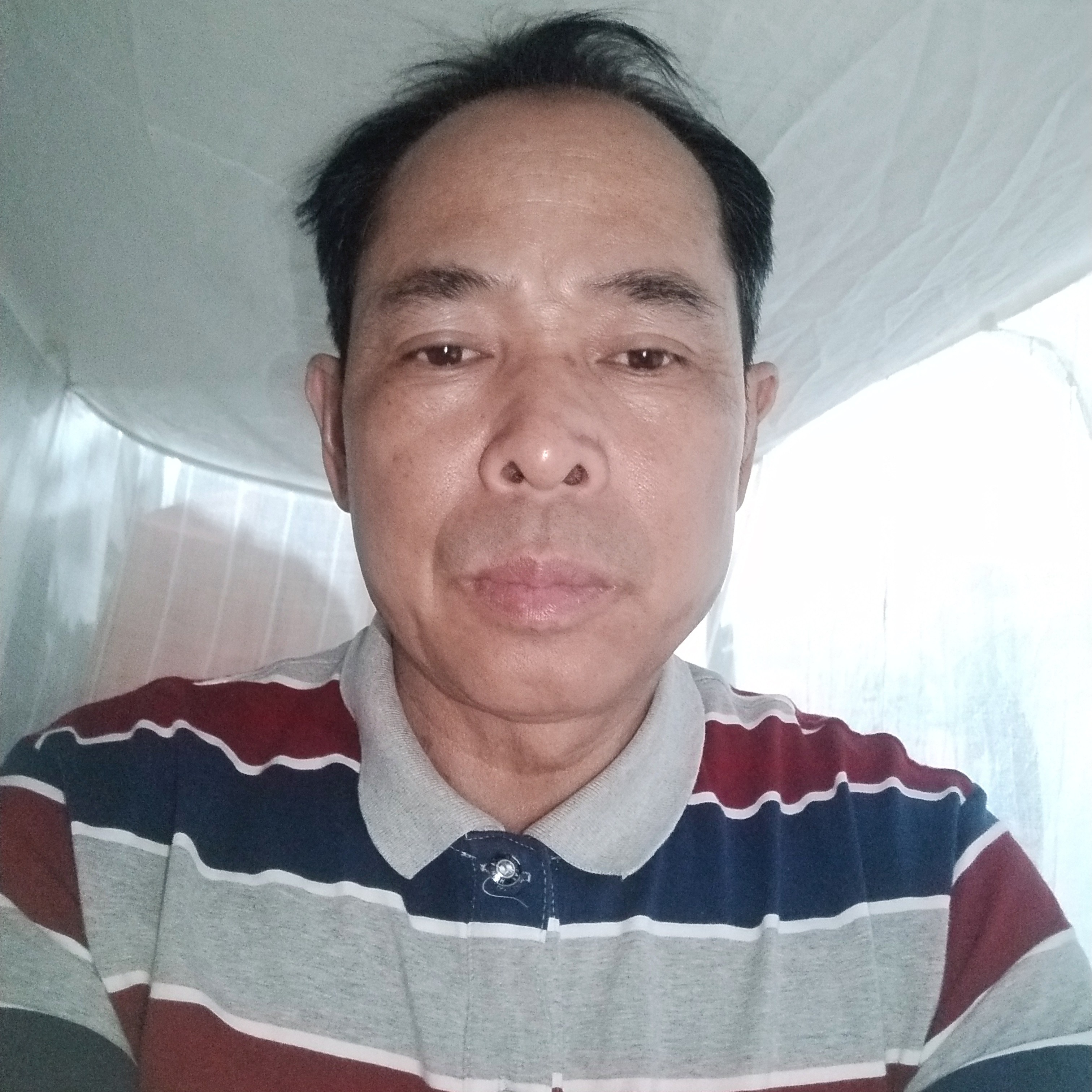 鱼和糟糕的照片