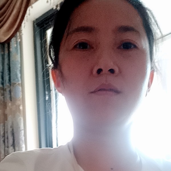 刺猬粗心的照片