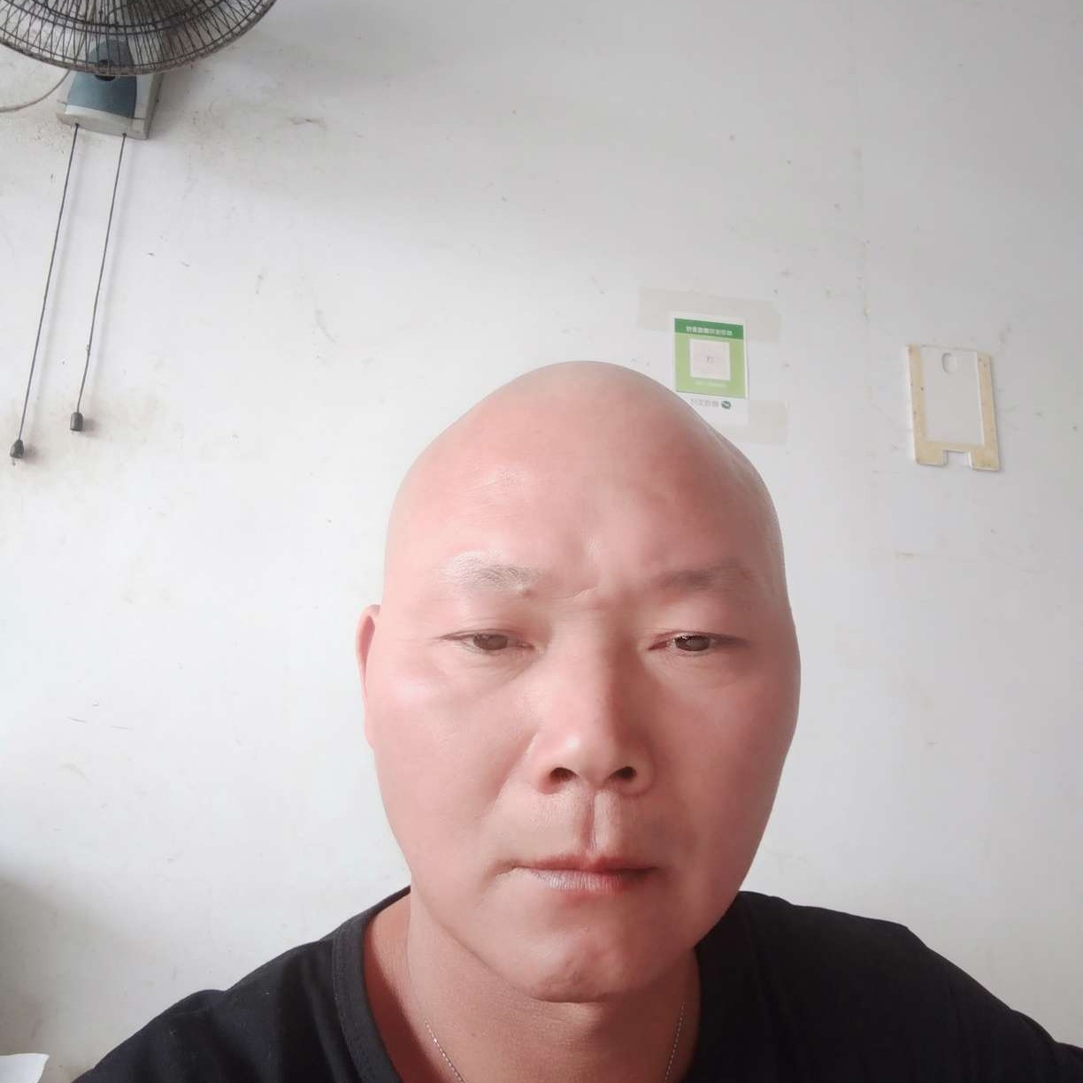 灵巧等待蚂蚁的照片