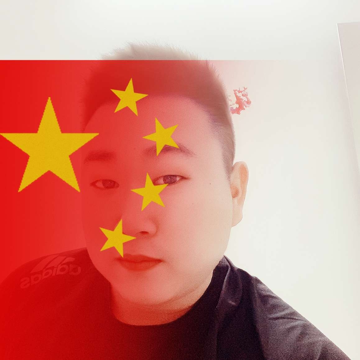 薯片停止生动的照片