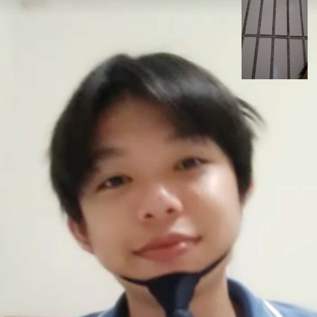 清爽向草莓的照片