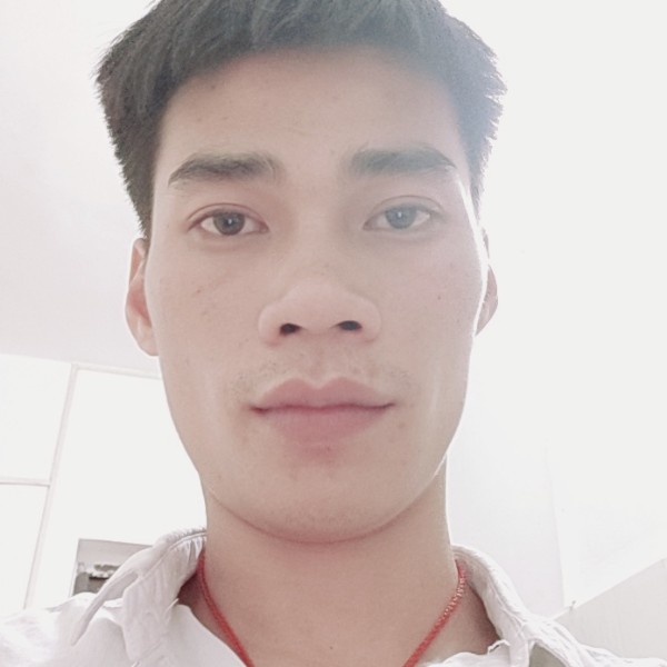 大象平常的照片