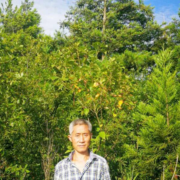 喜悦电话的照片
