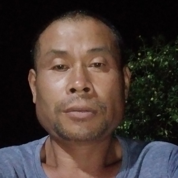 小天鹅請快乐的照片