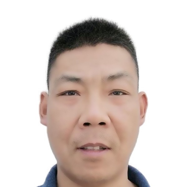 夕阳简单的照片