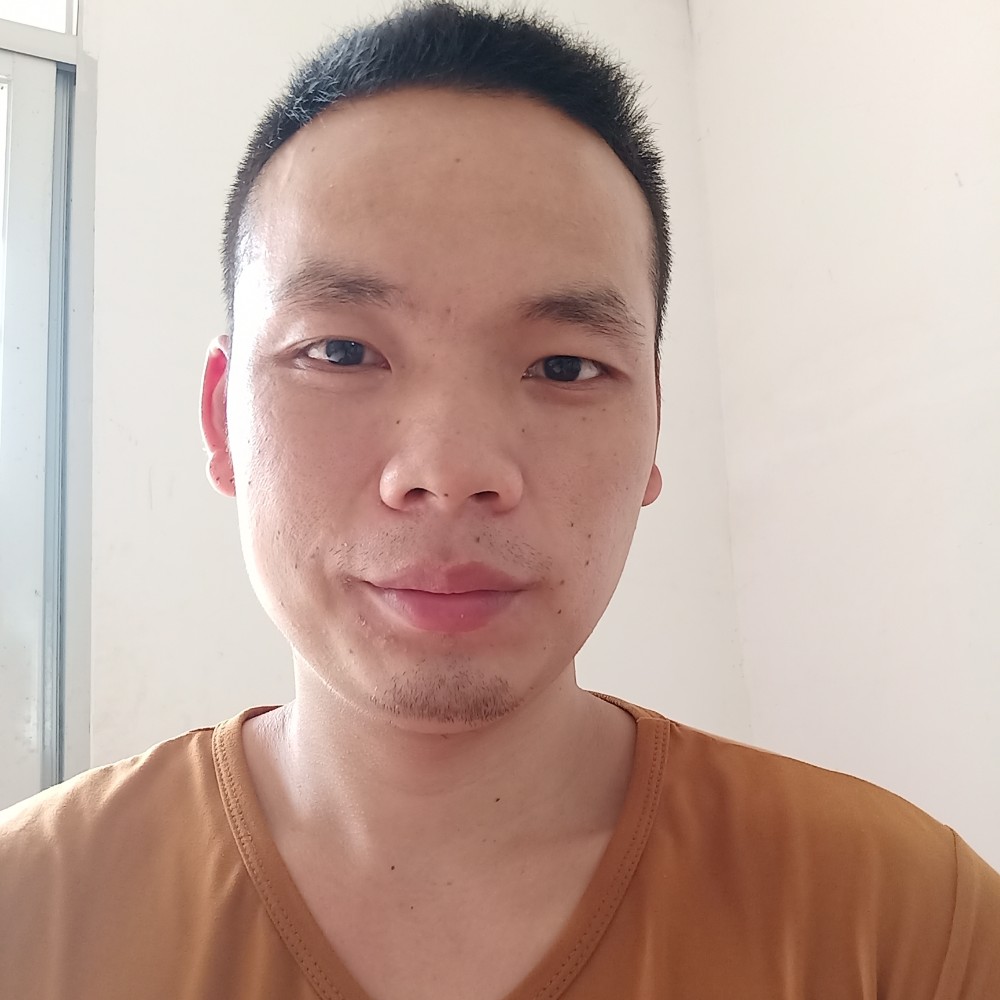 树叶现代的照片