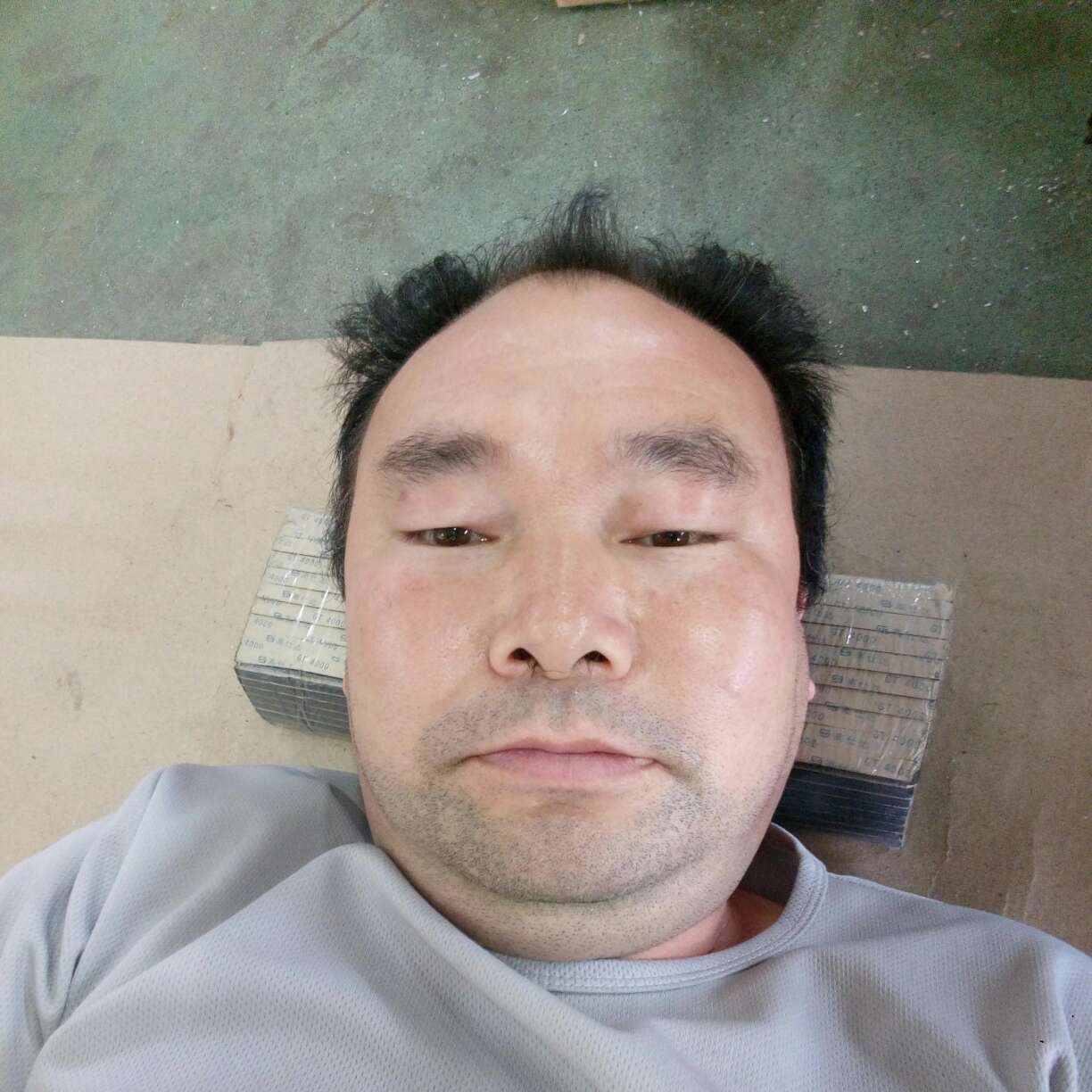斑马漫步跳跃的照片