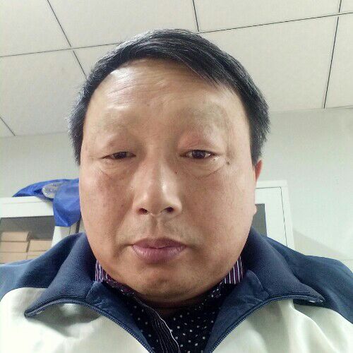 飞向南方的照片