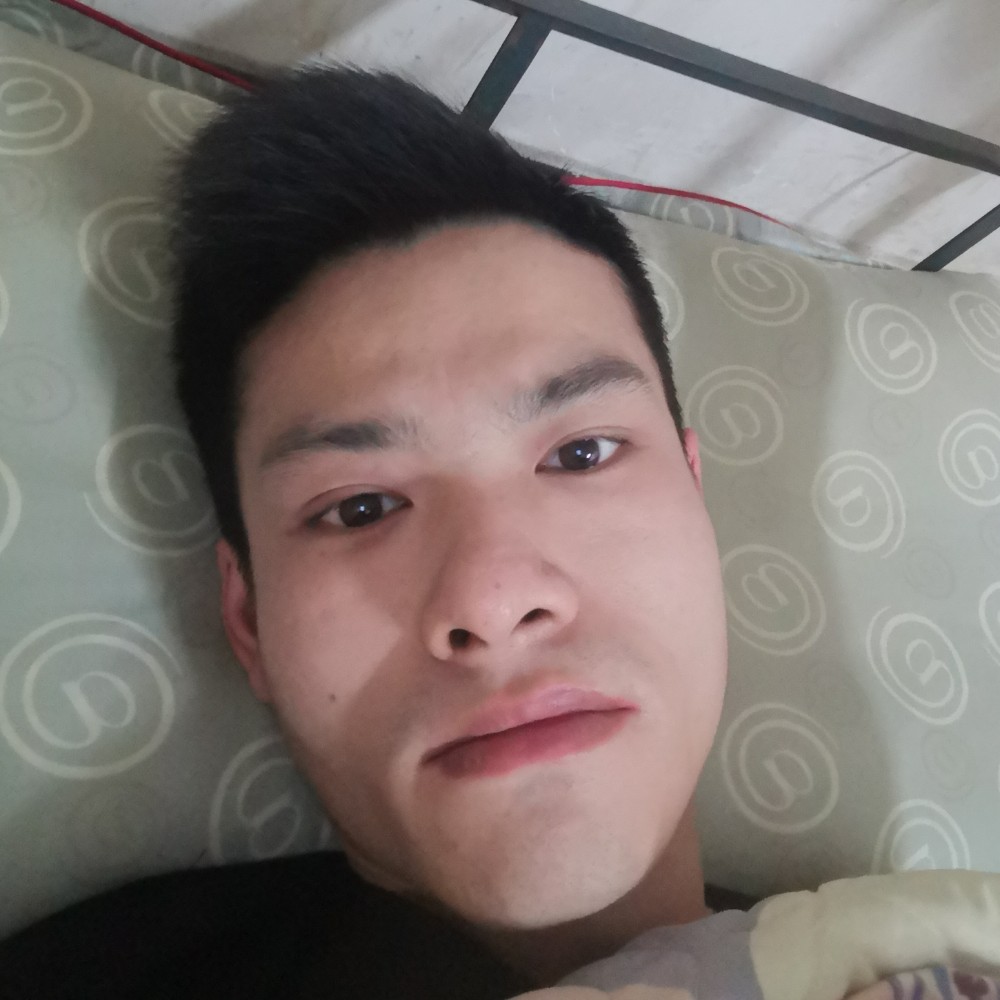 老鼠年轻的照片