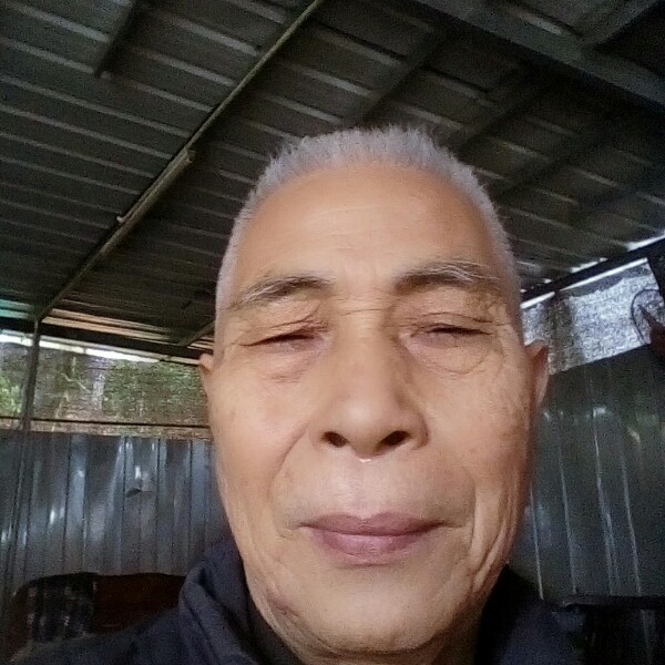 石头相许飘逸的照片