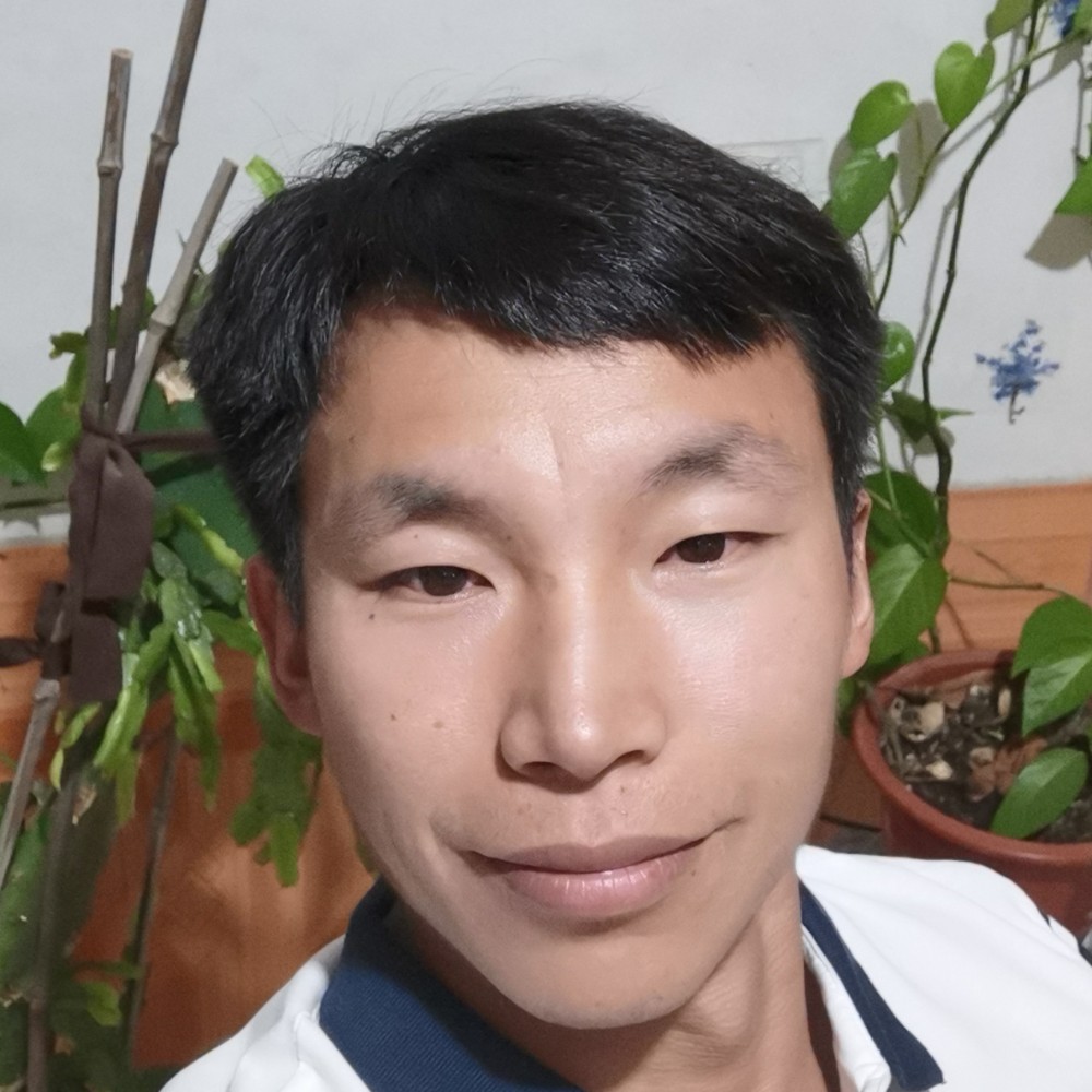 爱了醉了的照片