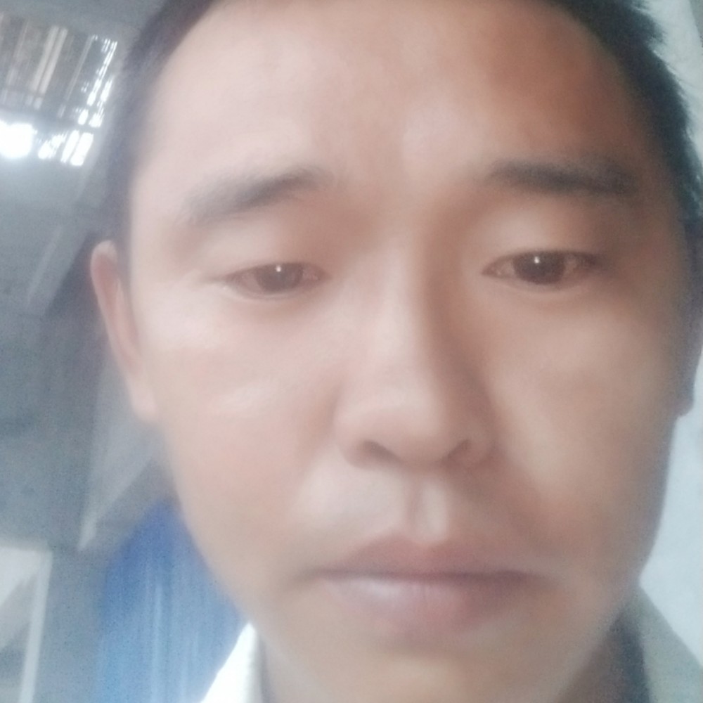 鲤鱼保卫苗条的照片