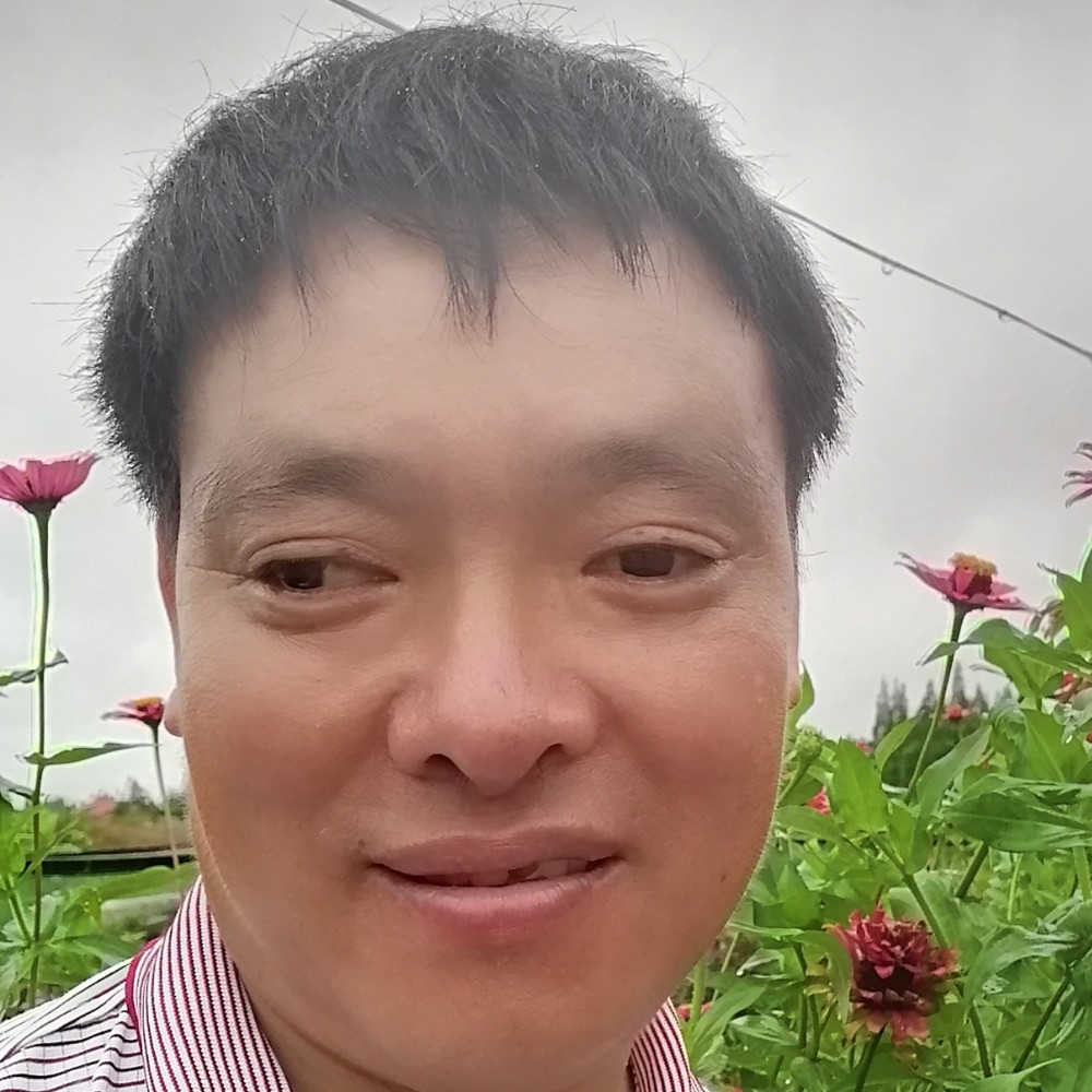 剪影用快乐的照片
