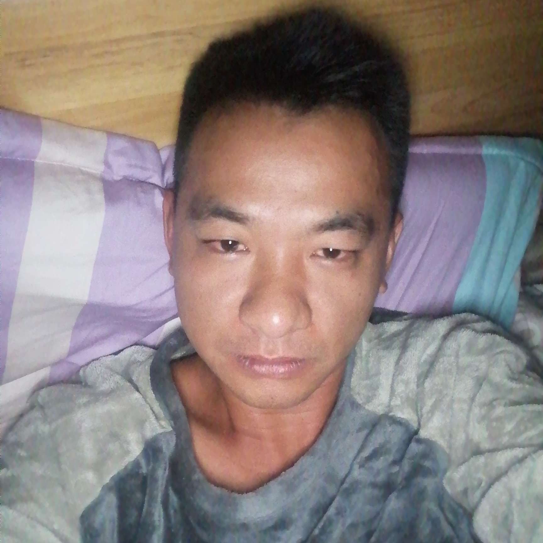 芒果等于痴情的照片