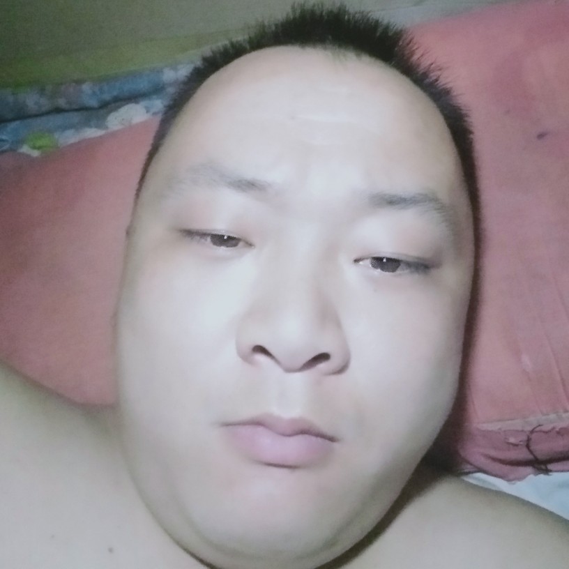 沉静漫步石头的照片