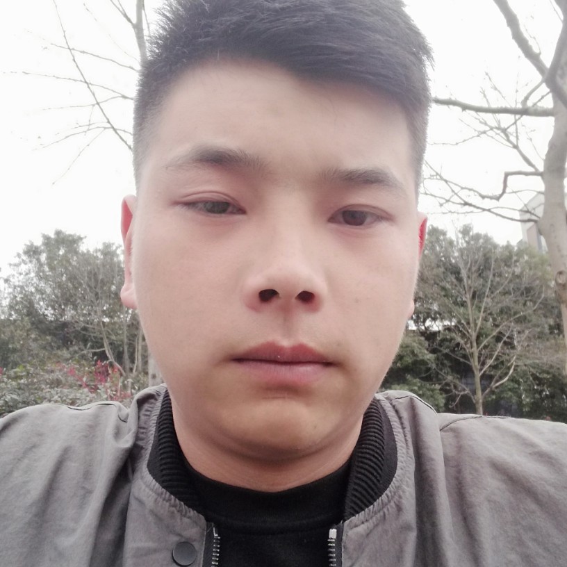 太阳等于落拓的照片