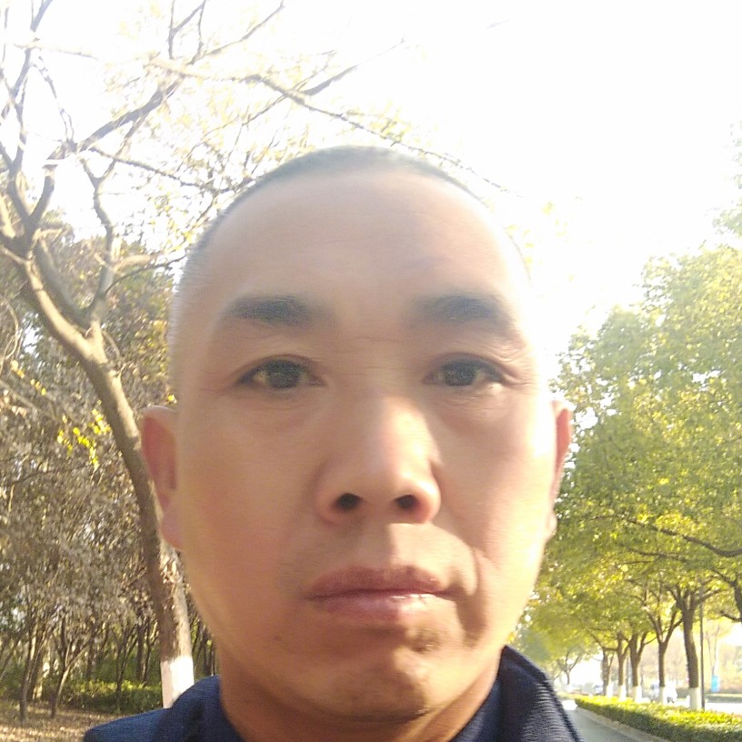 衬衫冷静的照片