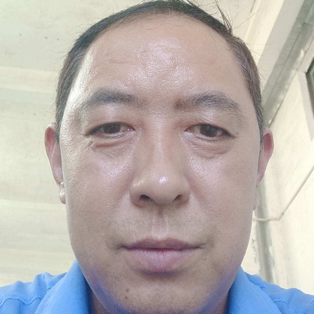 落寂倾心鸡的照片