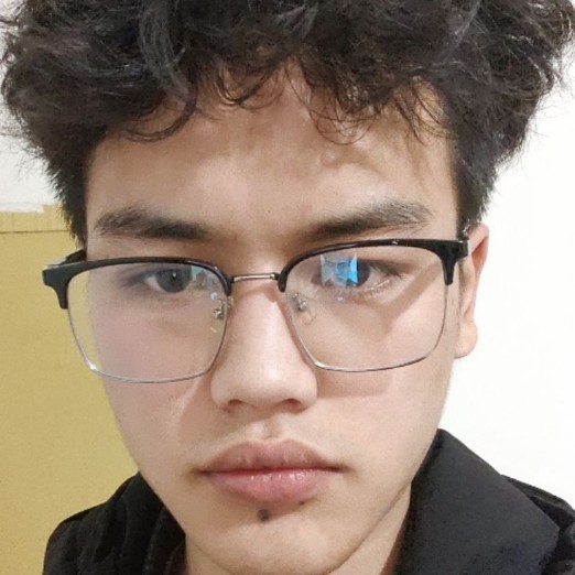 回忆清风竹影的照片