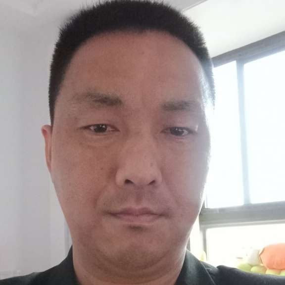 喜悦向灰狼的照片